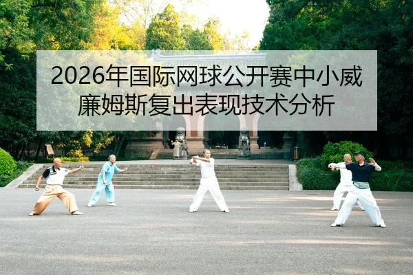 nian-guo-ji-wang-qiu-gong-kai-sai-zhong-xiao-wei-lian-mu-si-fu-chu-biao-xian-ji-shu-fen-xi-2-663.jpg