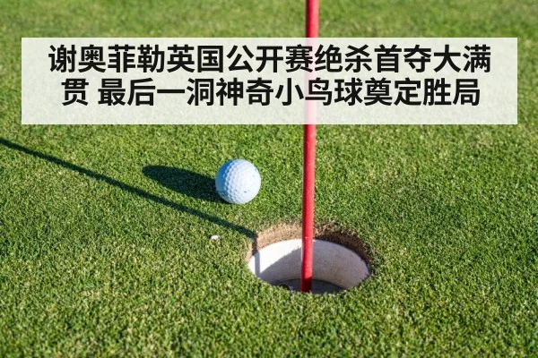 谢奥菲勒英国公开赛绝杀首夺大满贯 最后一洞神奇小鸟球奠定胜局